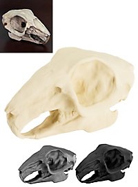3D-printed rabbit skull for self-painting (10cm)