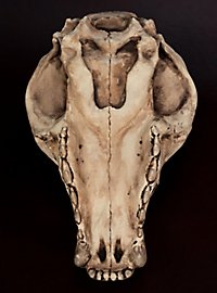 3D-printed wolf skull for self-painting (25cm)