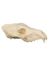 3D-printed wolf skull for self-painting (25cm)