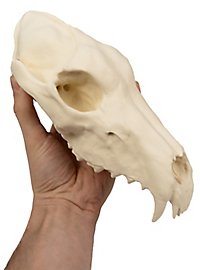 3D-printed wolf skull for self-painting (25cm)