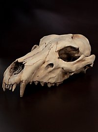 3D-printed wolf skull for self-painting (25cm)
