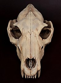3D-printed wolf skull for self-painting (25cm)