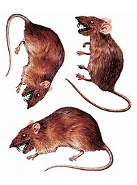 3D Rotte Klistermærke-Sæt Halloween Pynt