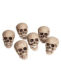 6 skulls in bag Halloween decoration