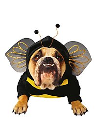 Abeille Déguisement de chien