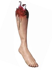 Abgehacktes blutiges Bein