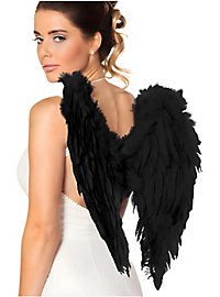 Ailes noires
