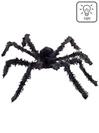 Araña Gigante Peluda Con Ojos Luminosos