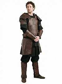 Kämpfer Armschienen braun 
