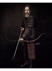Kämpfer Armschienen braun 