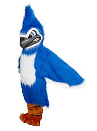Arrendajo Azul Feroz Mascota