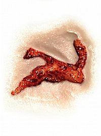 Aufgeplatzte Stirnwunde 3D FX Transfers
