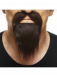 Barba a coda d'anatra