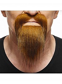 Barba a coda d'anatra