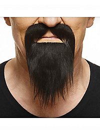 Barba a coda d'anatra