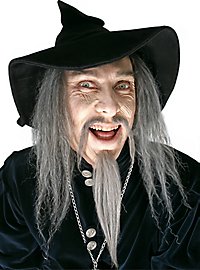 Barba da strega