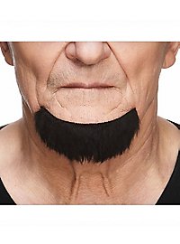 Barba di pizzetto e mento