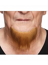 Barba di pizzetto e mento