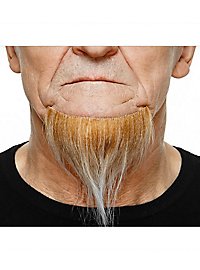 Barba di pizzetto e mento