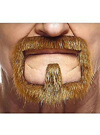Barba Henriquatre