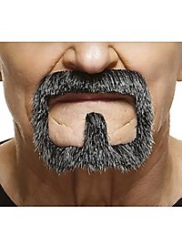 Barba Henriquatre