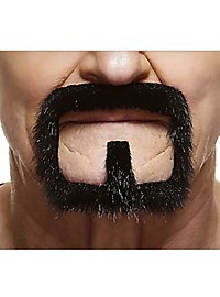 Barba Henriquatre