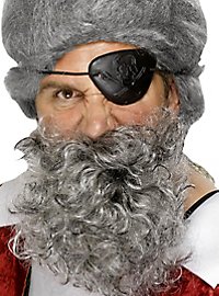 Barbe pleine ébouriffée grise