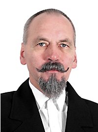 Bartset Van Dyke - Professionelt Skægsæt Med Overskæg Og Fipskæg Med Ægte Hår Andel