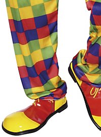 Big clown shoes