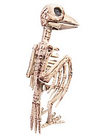 Bird Skeleton Halloween Deco