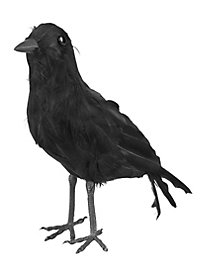 Black Crow made of real plumes 