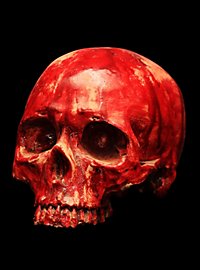 Bloody Skull Decoration