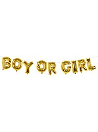 Boy or Girl Folienballongirlande