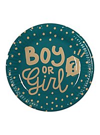 Boy or Girl Pappteller 10 Stück
