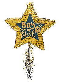 Boy or Girl Zieh-Piñata