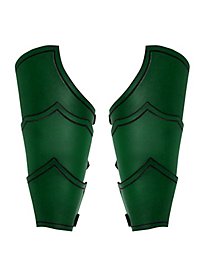 Brassards de monteur de dragon verts