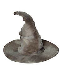 Chapeau de sorcière usé par les intempéries