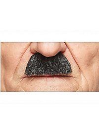 Chaplin Beard Mustache