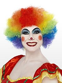 Clown Wig rainbow 