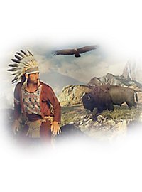 Copricapo di piume di falco grigio