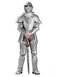 Costume da cavaliere radioso