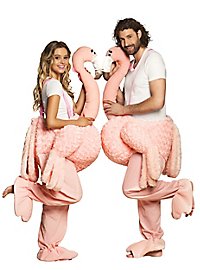 Costume da fenicottero a cavallo