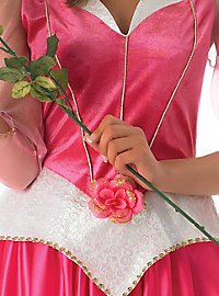 Costume da principessa Disney della Bella Addormentata