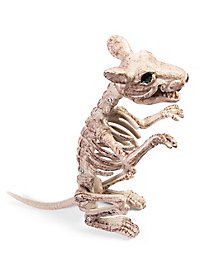 Décoration d'Halloween Squelette de rat