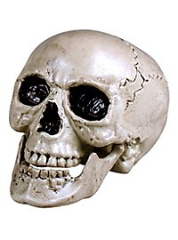 Decorative skull with movable jaw