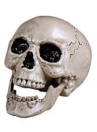 Decorative skull with movable jaw