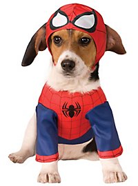Déguisement de chien Spider-Man