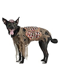 Déguisement de zombie pour chien