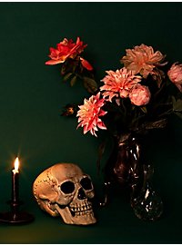 Dekorationskranie med bevægeligt kæbe