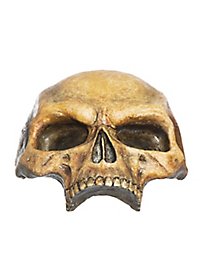 Demi-crâne décoratif en résine